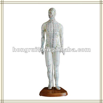 ISO Human Acupuncture Model, Deluxe Acupuncture male Model 46CM HR-502